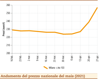 prezzi mais maggio 2021 martedì 4