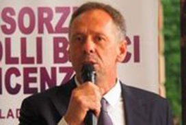 Silvio Dani