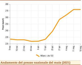prezzi mais maggio 2021 lunedì 24