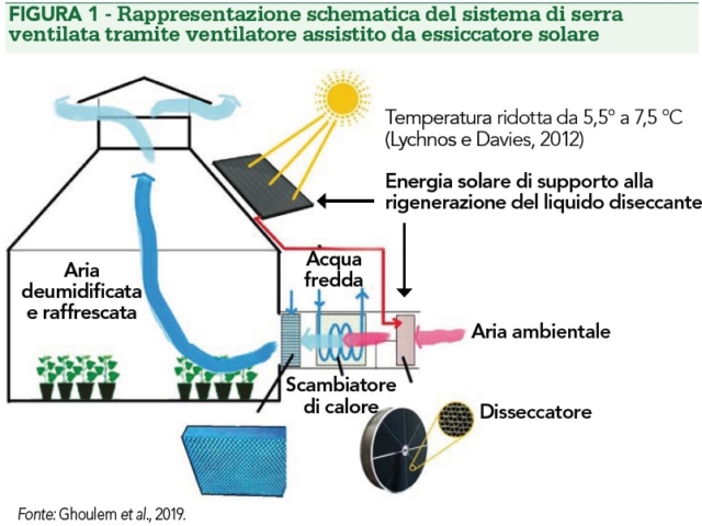 serra ventilata essiccatore solare