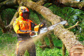 Stihl-MS-400-CM