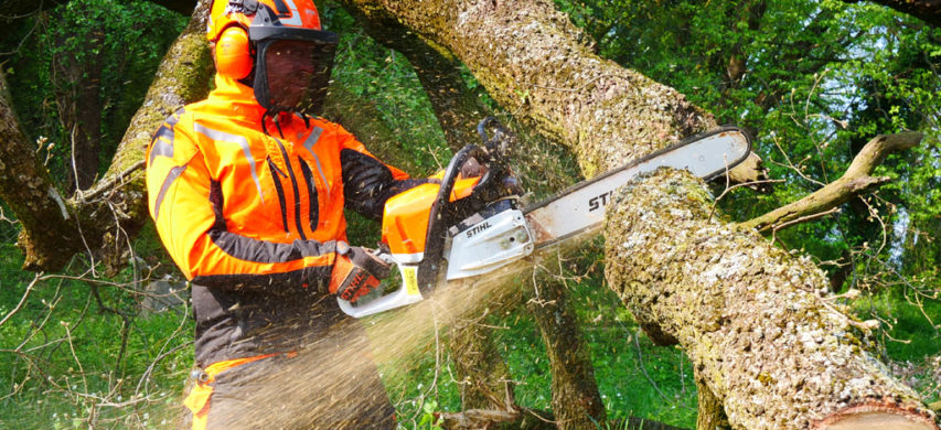 Stihl-MS-400-CM