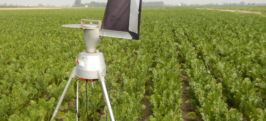 monitoraggio volo conidi cercospora