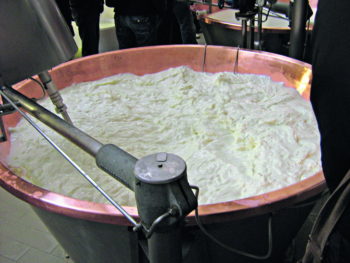 piano italiano contro la crisi del latte