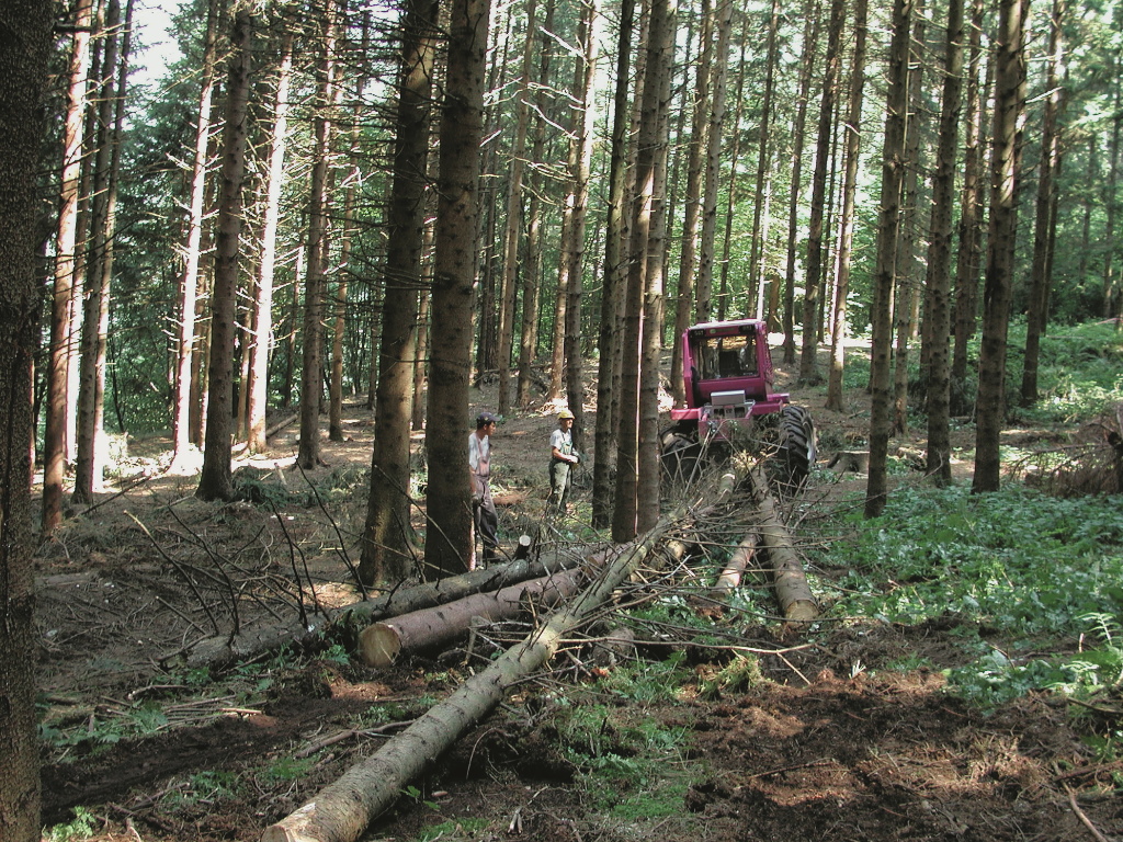 4m Filiera forestale quadrato 8mm Grad 80 con Ovale Anello per appendere e Ganci di slittamento 8mm con Trappola