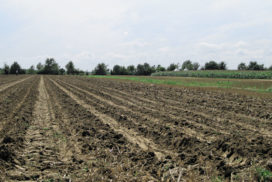 Terreno lavorato con guida assistita