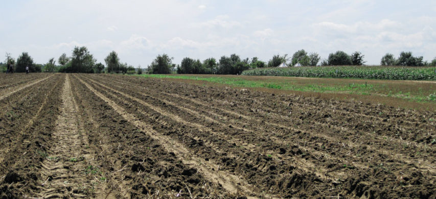 Terreno lavorato con guida assistita