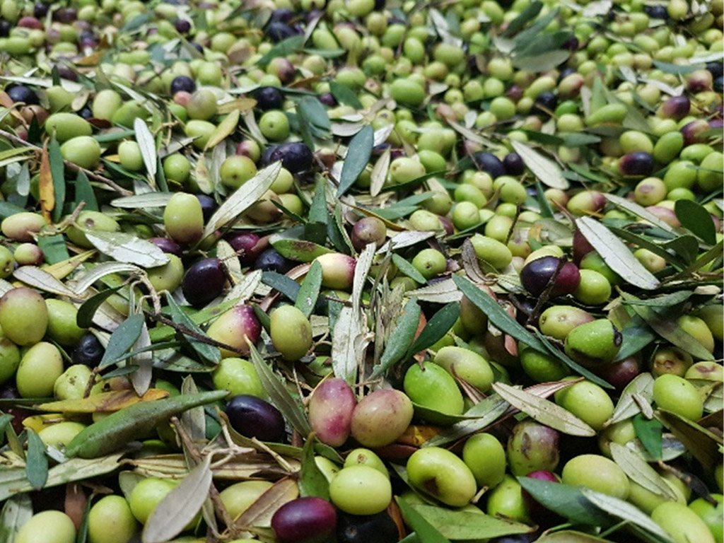 Eden - Olio 31 Erbe - Miscela di 31 oli essenziali 100 ml: in offerta a