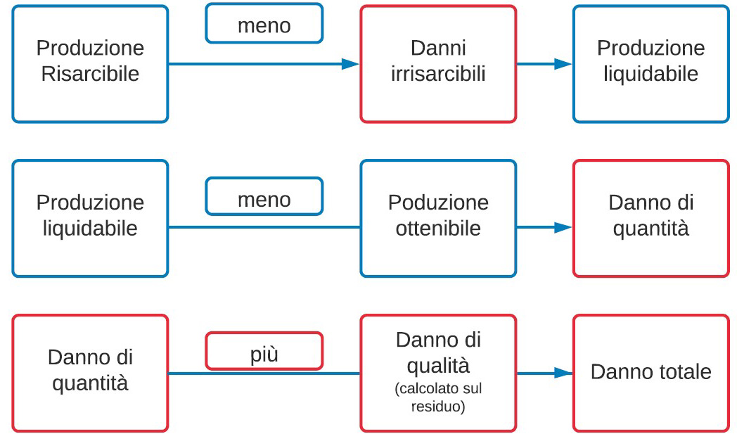 determinazione del danno