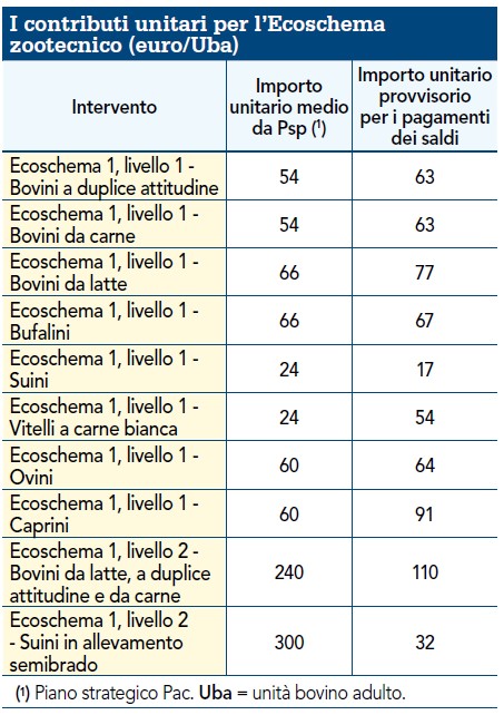 Contributi Escoschema zootecnico