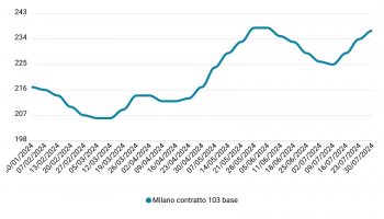 Prezzi mais luglio 2024