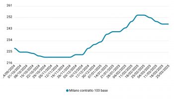 Prezzi mais marzo 2025