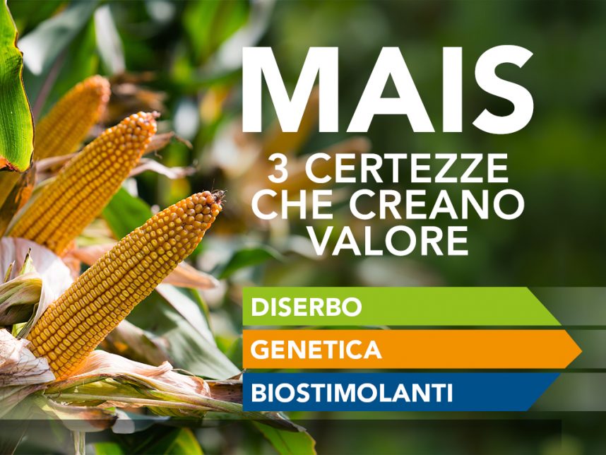 immagine in evidenza