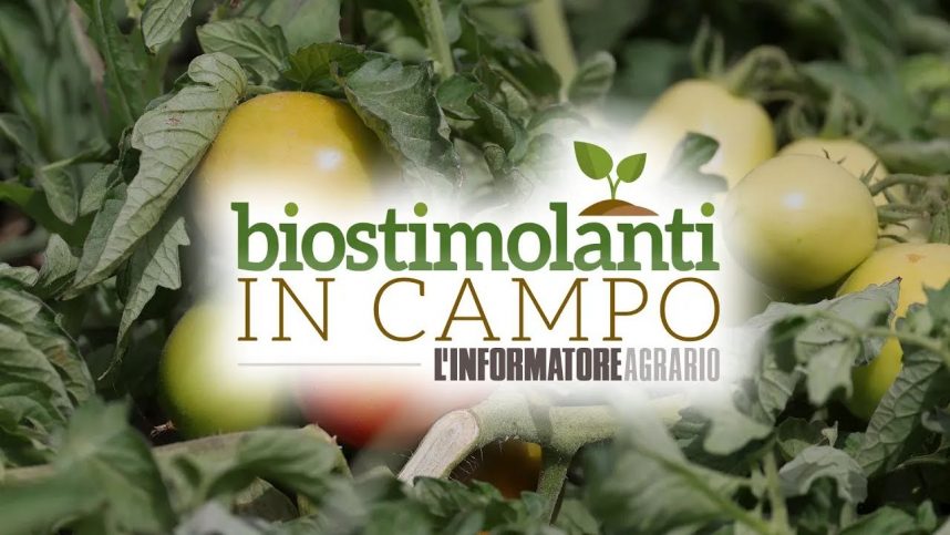 Copertina video Biostimolanti in Campo 2025