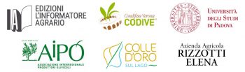 I marchi delle aziende partner del progetto OLIVETO SMART