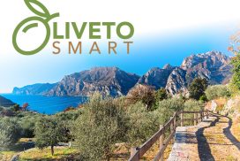 Copertina del Progetto Oliveto Smart