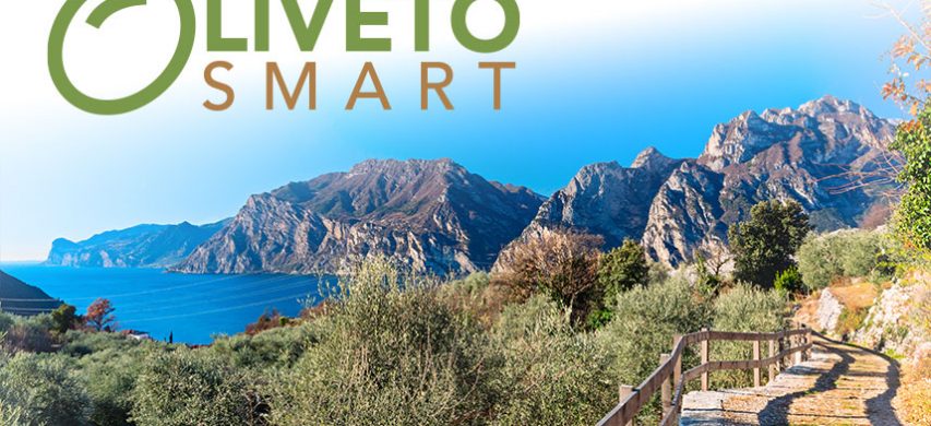 Copertina del Progetto Oliveto Smart