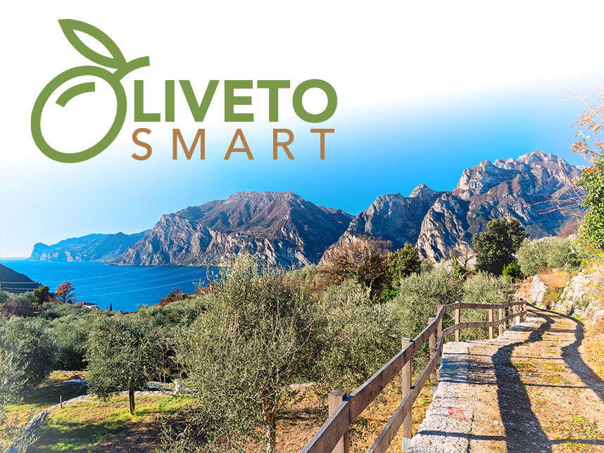 Copertina del Progetto Oliveto Smart