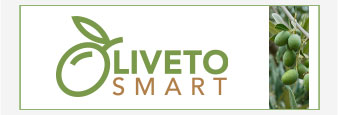 Pulsante Oliveto smart