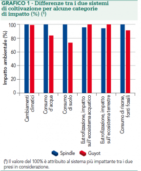 confronto tra sistema di allevamento a spindle e a guyot