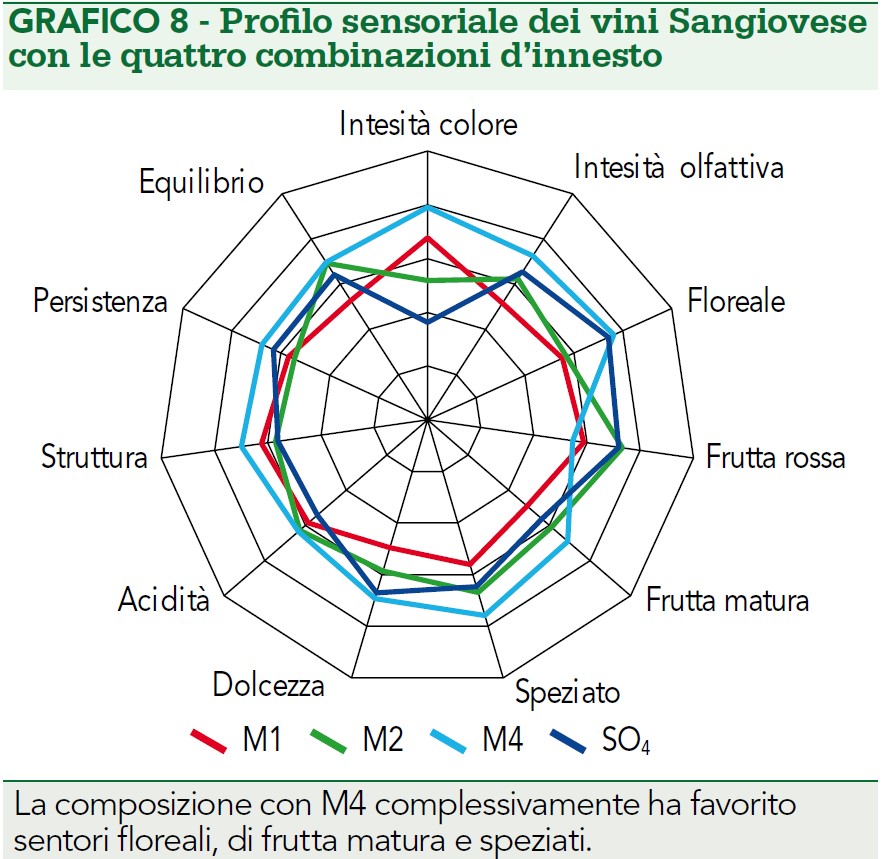 effetto portinnesto M su aroma Sangiovese