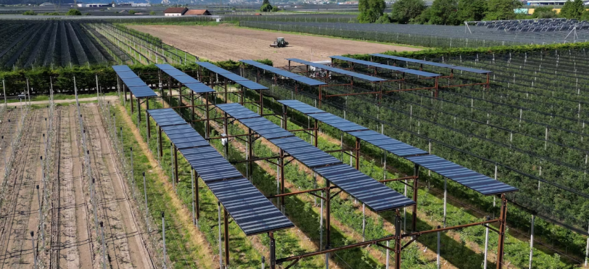 Impianto agrivoltaico a Bolzano