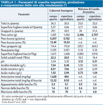 Tabella con risultati preliminari su Cabernet Sauvignon e Malvasia di Candia Aromatica