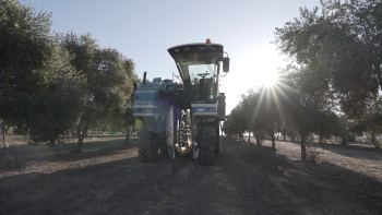 Impianto Azienda La Valonga