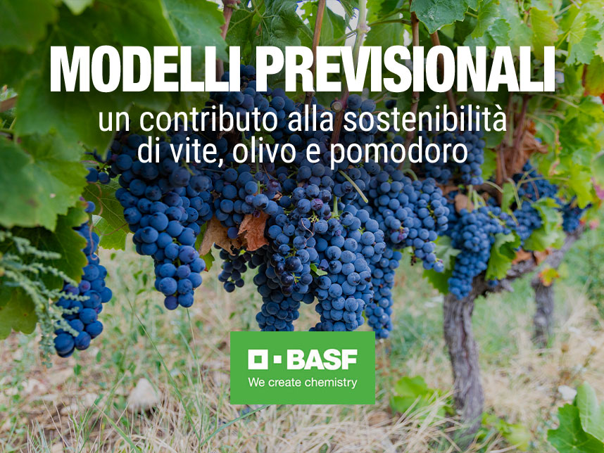 immagine in evidenza