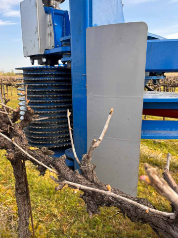 Scordonatrice-IMECA-TTC_08