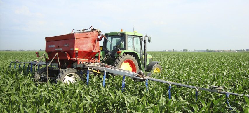 Le alternative per fertilizzare il mais