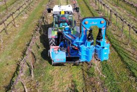 Scordonatrice in vigneto