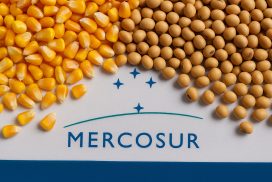 Chi guadagna dalla firma dell'accordo Mercosur-UE