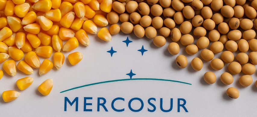 Chi guadagna dalla firma dell'accordo Mercosur-UE