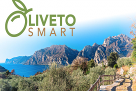 oliveto smart