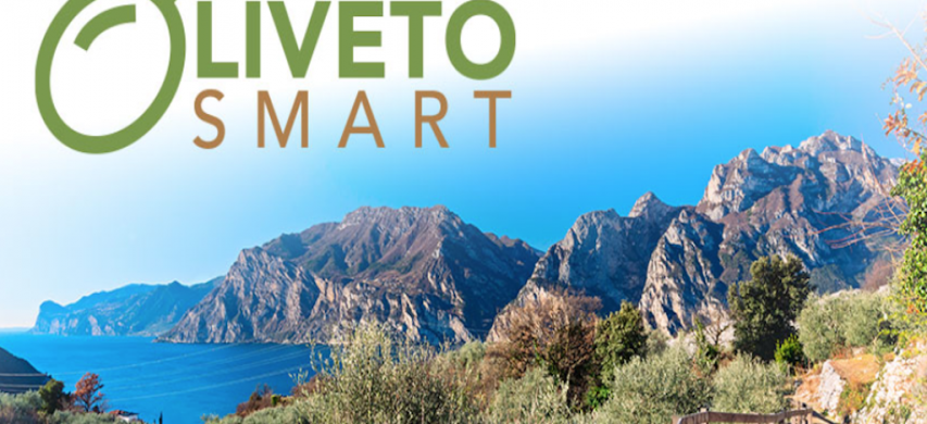 oliveto smart