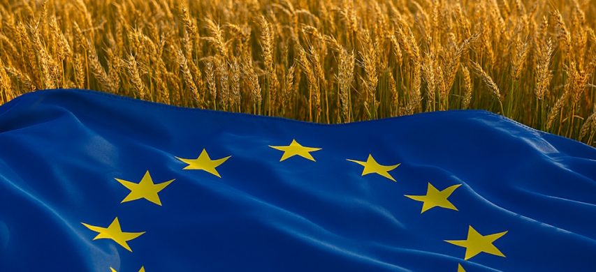 criticità nuova Pac evidenziate dalla Corte dei conti europea