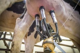 piano anticrisi latte