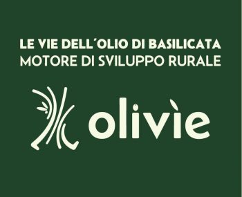 olivìe