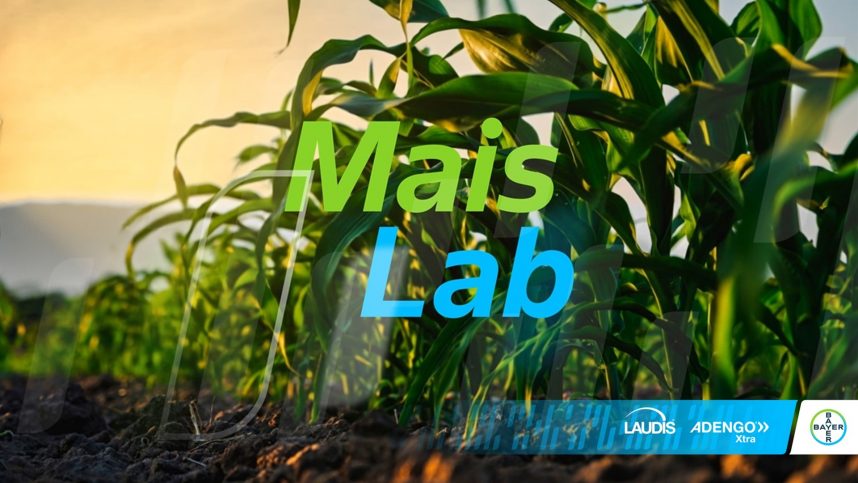 immagine in evidenza