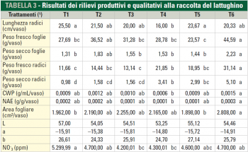 biostimolanti su lattughino