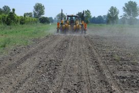 intenzioni di semina