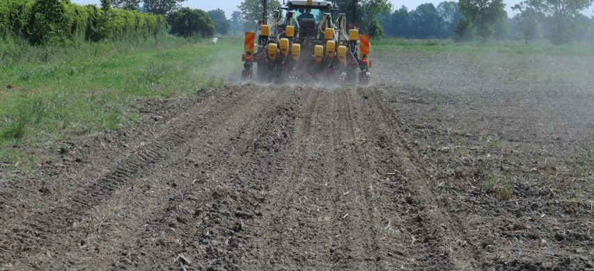 intenzioni di semina