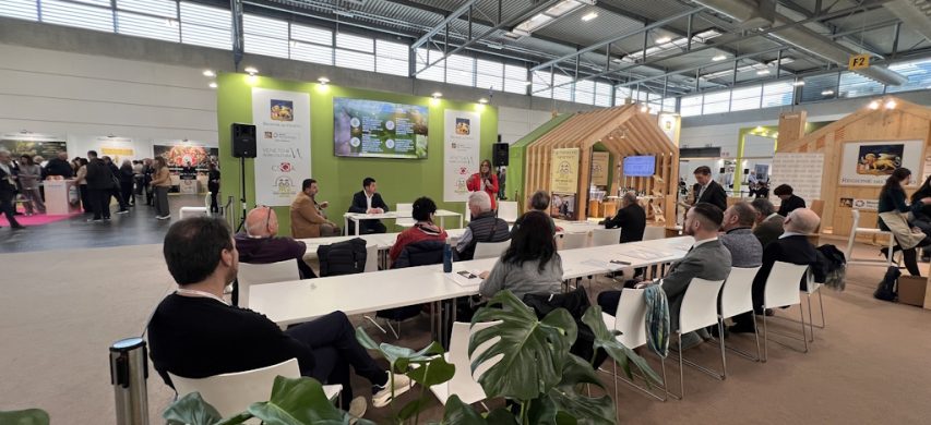 evento oliveto smart