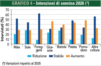 grafico intenzioni di semina 2026