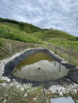 microinvaso in collina