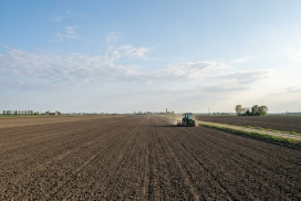 Terreni agricoli per i giovani agricoltori