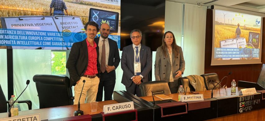 Massimiliano Beretta, Federico Caruso, Francesco Mattina e Francesca Garbato