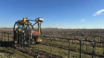 Cordone libero a meccanizzazione integrale