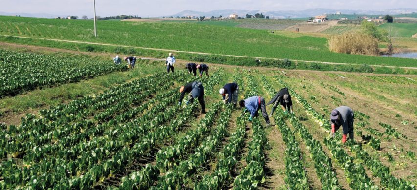 Lavoratori agricoli contributi Inail